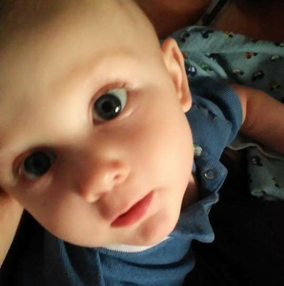 Meet your Posher, Steve - Picture 1 of 1